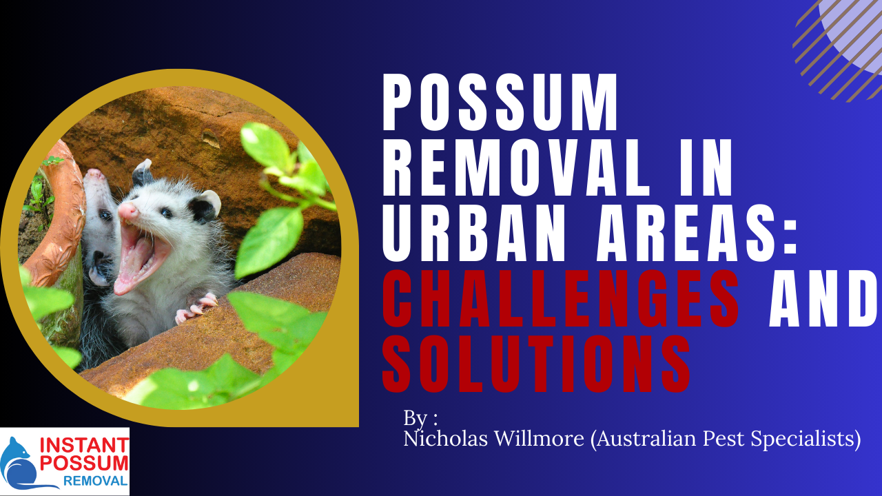 Possum Removal in Urban Areas: Challenges and Solutions