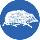 Backyard possum removal