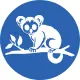 Brushtail Possum
