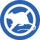 Dead possum removal