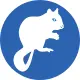 Ringtail Possum